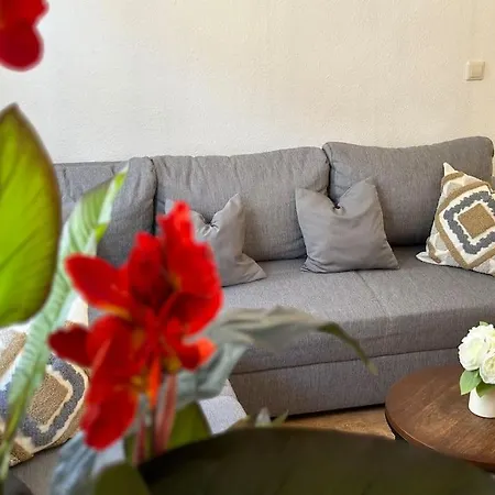 Modern Eingerichtete Im Stadtzentrum Kostenloser Parkplatz Appartement *